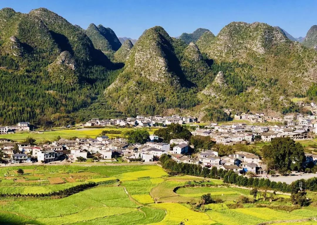 广东陆河南万红锥林省级自然保护区