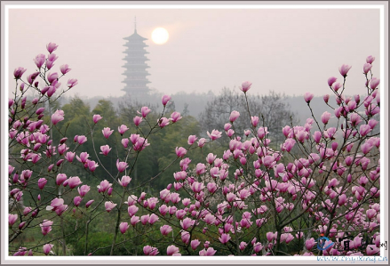 龙背山森林公园