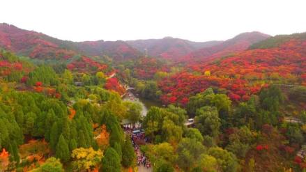 蔓园