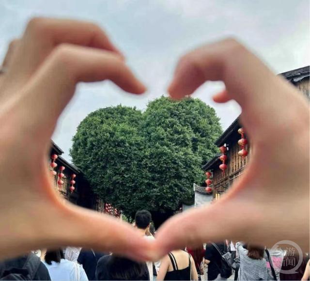 爱心树