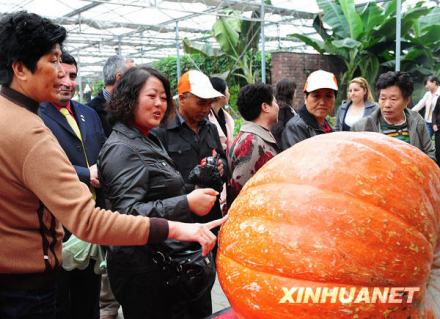 共同富裕的典型华西村