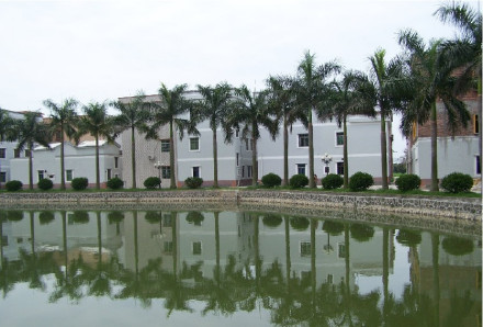 社会主义新农村2