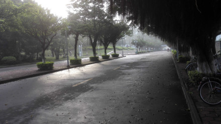 雨后清晨的逸仙大道