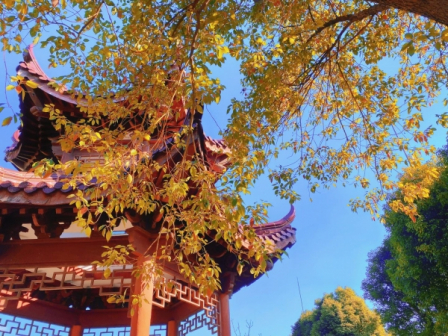 校园风景