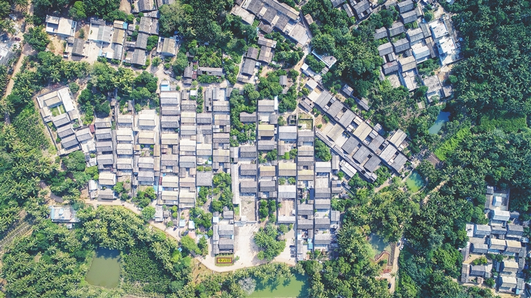 文昌市会文镇十八行村 
