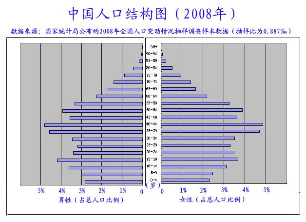 中国人口结构图（2008年）