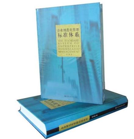 企业规范化管理标准体系