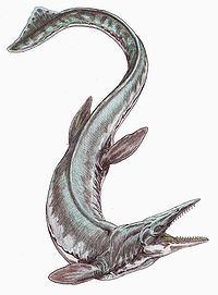 海王龙