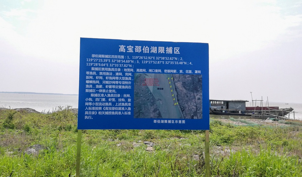 邵伯湖水产