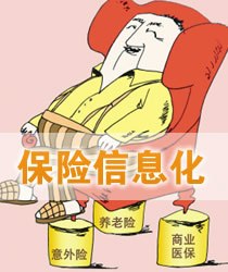 保险信息化
