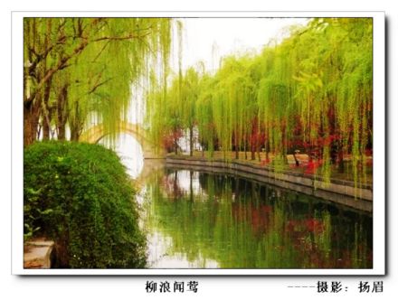 柳浪闻莺