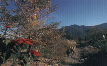 马那邦山