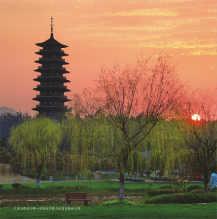 龙背山森林公园