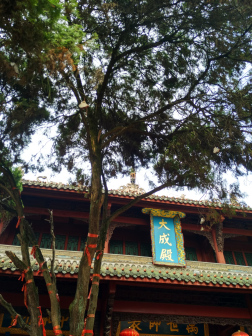 黉宫古桂旧址