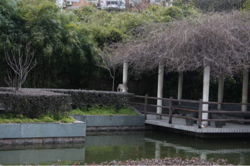 闸北公园