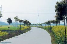 通往乡间村落的四级公路