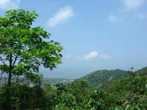 东山岭