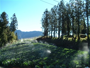 梨山风景区