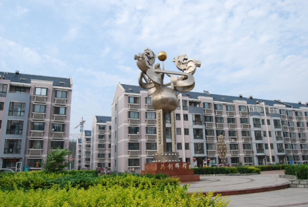 快速发展的社会主义新农村 天津王村