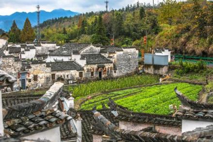 西递村