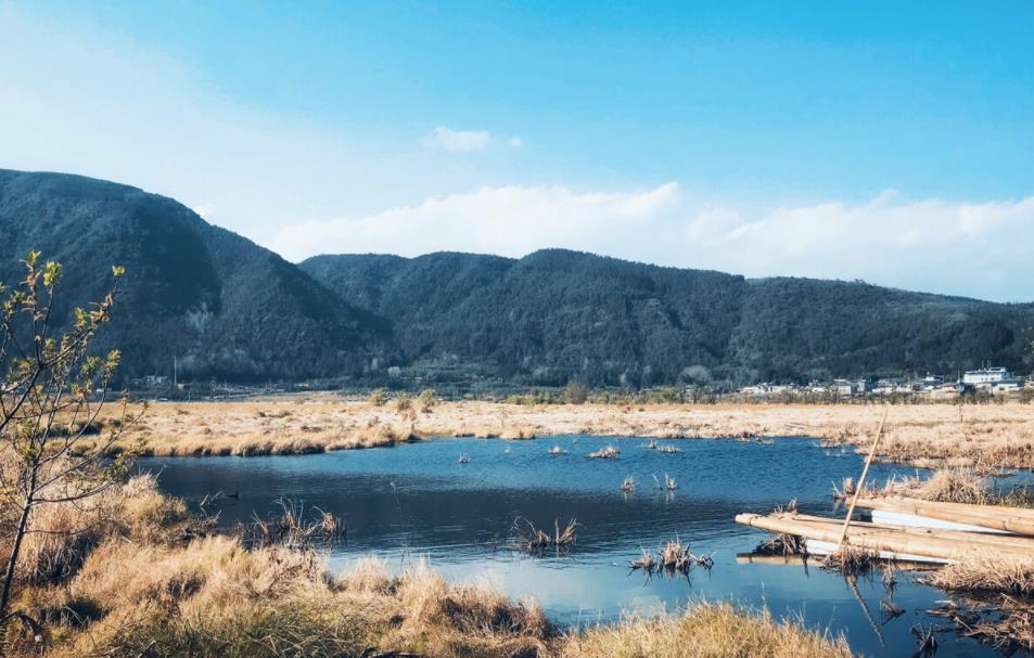 腾冲北海湿地