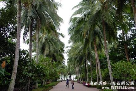 兴隆南药园