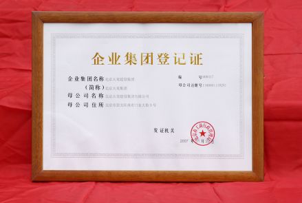 企业集团
