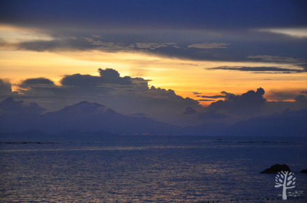 魅力夕阳