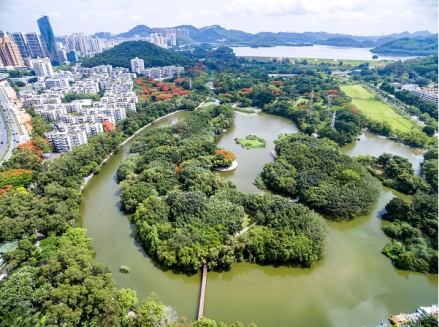 东湖人工湖