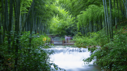 古道雅风