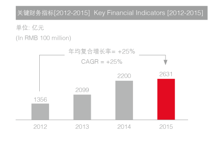 中国华信能源有限公司
