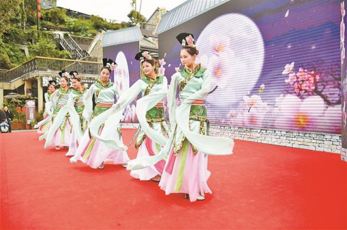 节目照