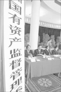 执行主体