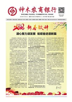 相关照片