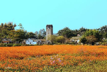 观澜版画村