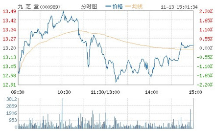 九芝堂证券