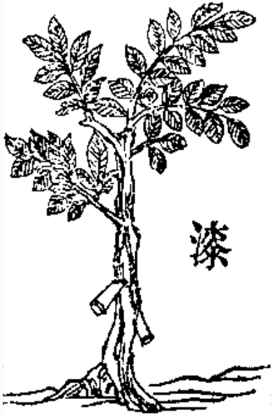 干漆 