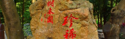 珍稀树木园