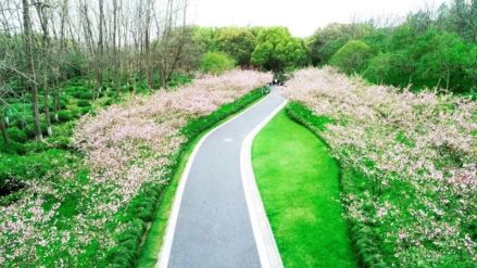 千米花道
