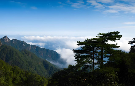 阳光海岸景区