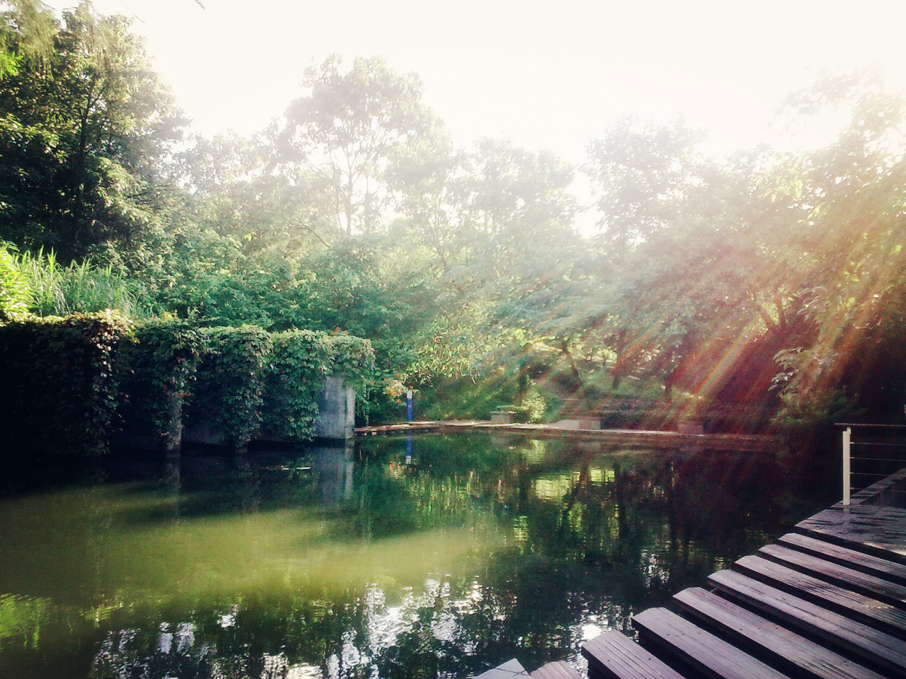 暨南大学深圳校区早晨