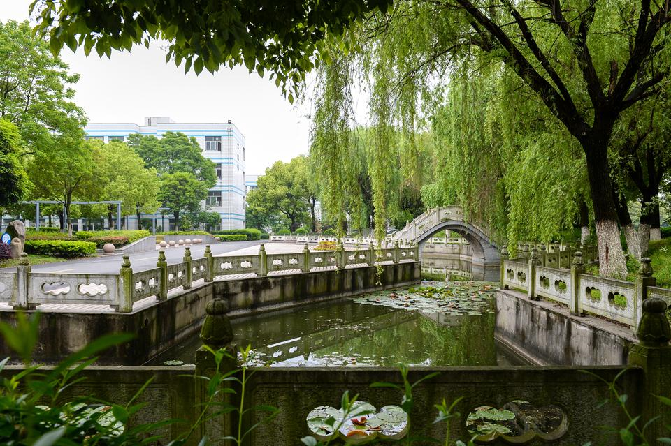 校园景色