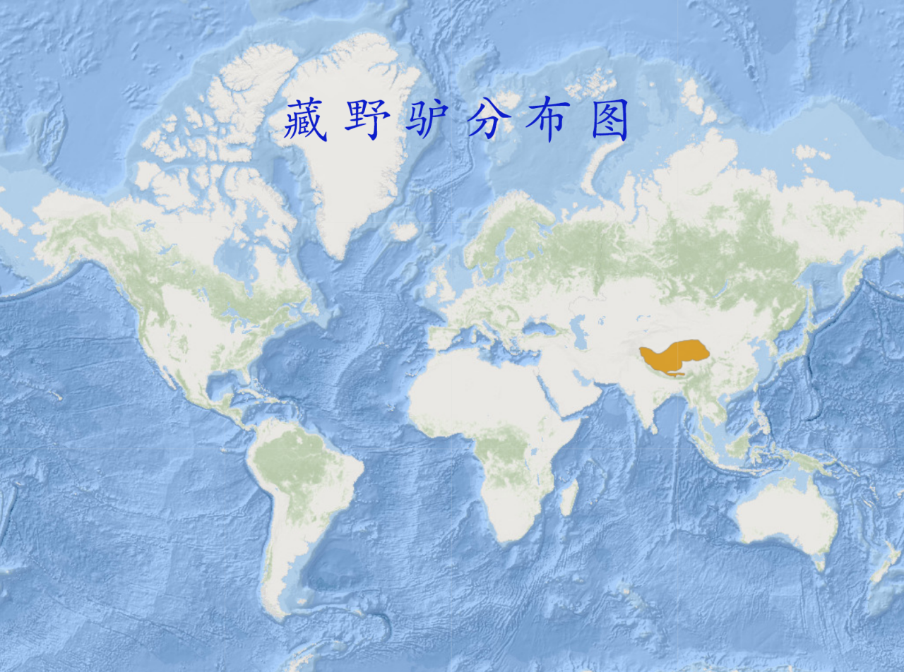 藏野驴分布图