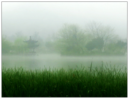 杨堤景行