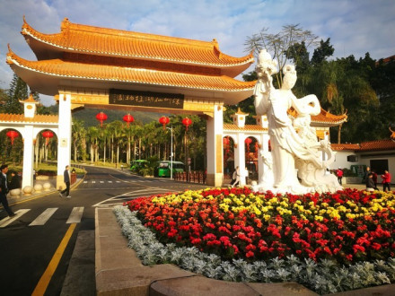 仙湖植物园
