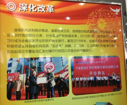 相关照片