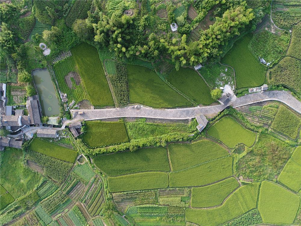 西递村