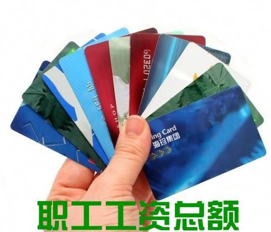 职工工资总额 职工工资总额