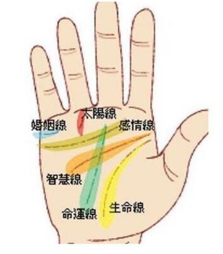 手相“五大线纹”
