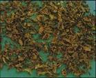 中药炮制产品